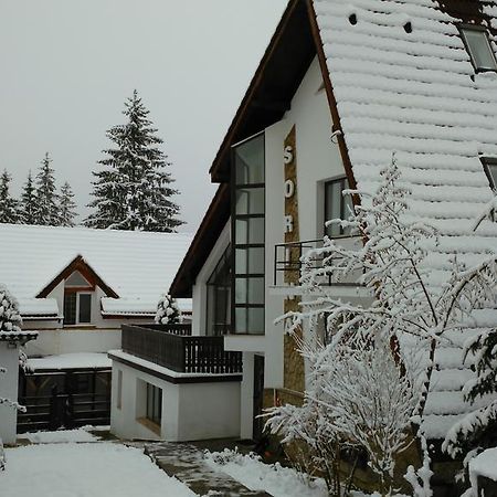 Vila Sorina Brassópojána Kültér fotó