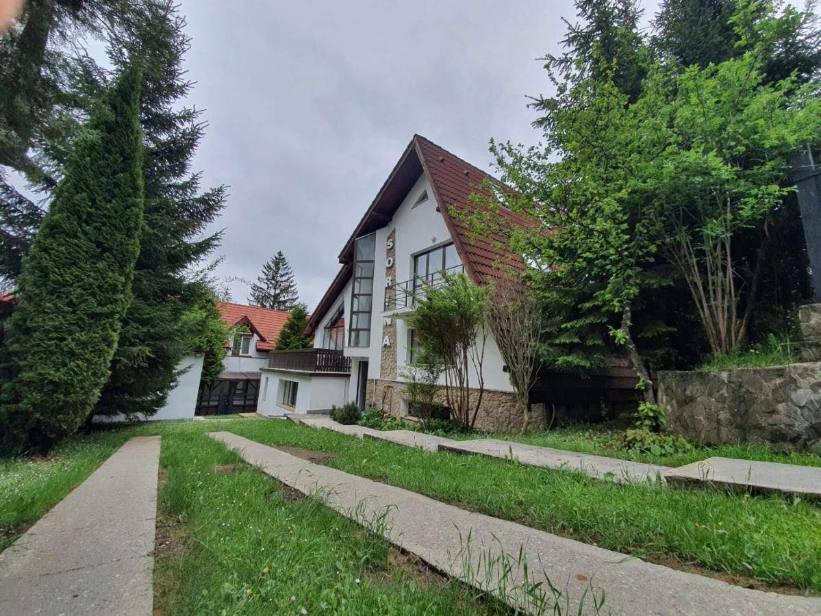 Vila Sorina Brassópojána Kültér fotó