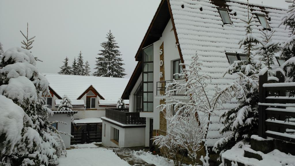 Vila Sorina Brassópojána Kültér fotó